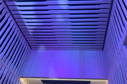 Blisspod Helsinki 2-Person Full Spectrum Infrared Sauna with Red Light Therapy