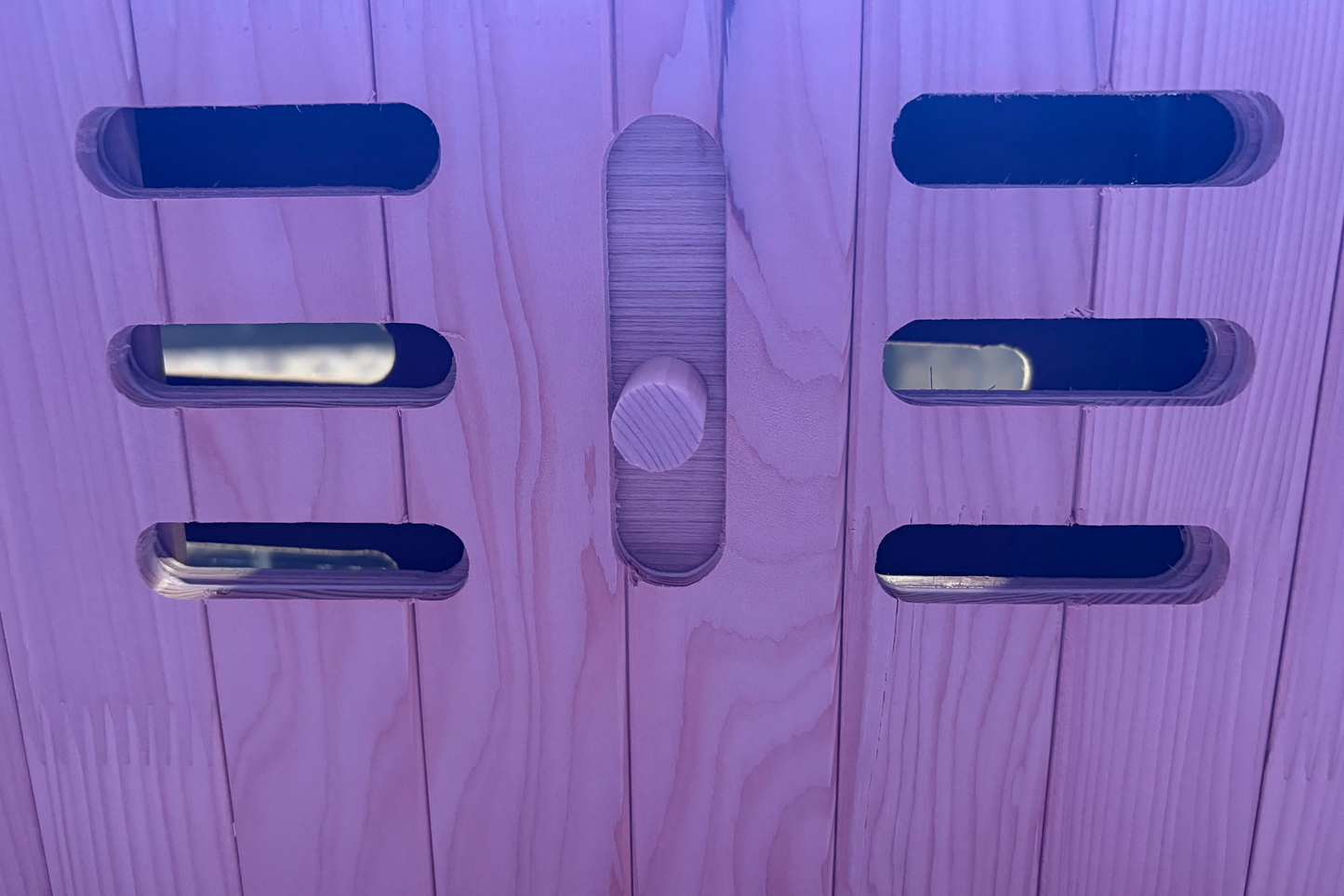 2-Person Red Light Sauna | Heat Therapy | Low EMF